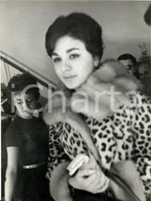 1960 ca ROMA Regina FARAH DIBA con pelliccia di ghepardo e guanti bianchi