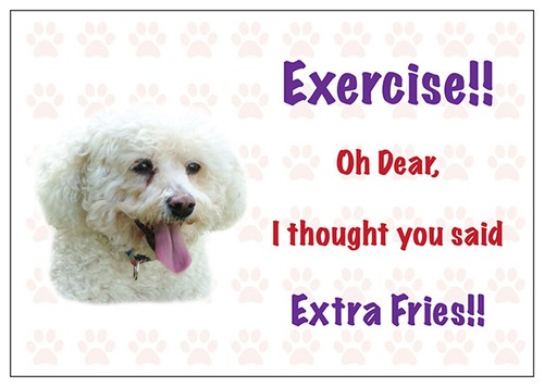 Funny bichon frise dog vinyl - bichon,