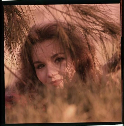 Tuesday weld servizio - tuesday,