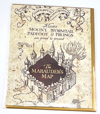 Biglietto Harry Potter