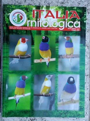 Italia ornitologica maggio - n.5,