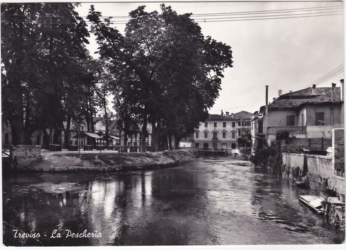 Treviso pescheria - treviso, la