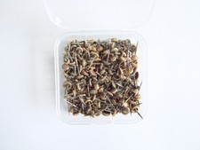 Orologiai lotto misto di