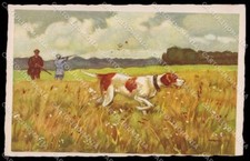 Artista Firmato L. Metlicovitz Puntatore Canna Caccia Caccia Caccia Degami serie 778 pz ZG3562