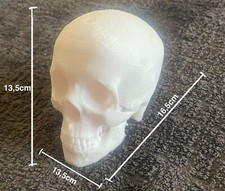 Teschio Umano, Halloween