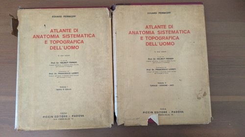 Pernkopf atlante anatomia uomo - atlante,