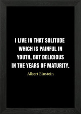 Einstein citazione solitudine - einstein,