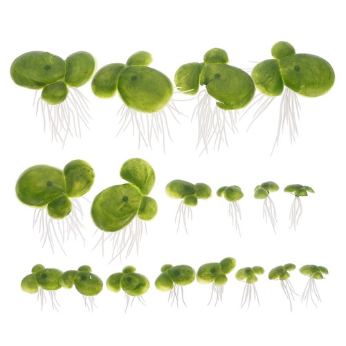 36pcs acquario duckweed mini - acquario,