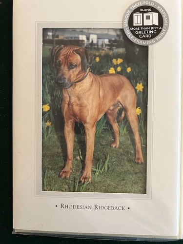 Biglietti auguri rhodesian - biglietti,