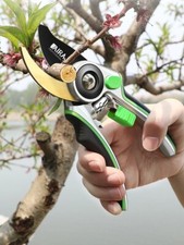Forbici da potatura - attrezzi
