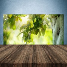 140x70 Paraschizzi in Vetro