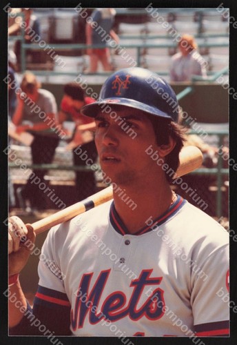 Lee marzilli mets - lee,