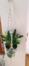 Macramè porta piante da