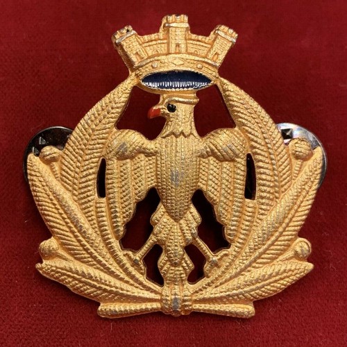 Raro distintivo fregio - distintivo,