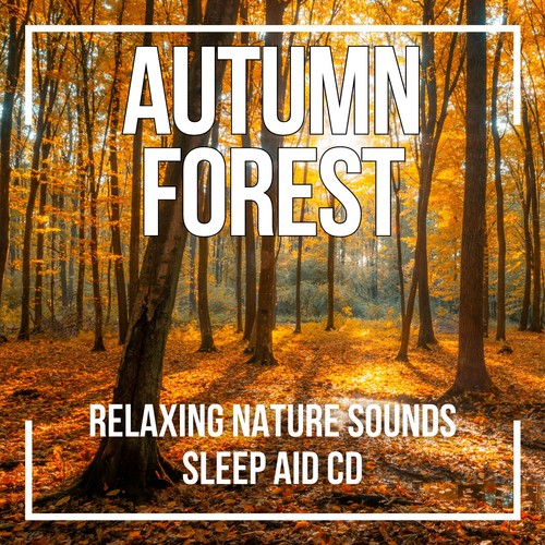 Nature sounds autumn forest - nature,