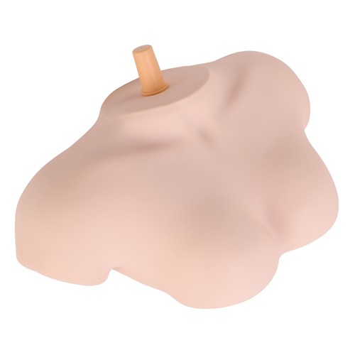 Modello spalla femminile per - modello,