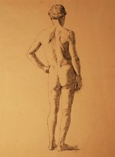 NUDO MASCHILE - Disegno