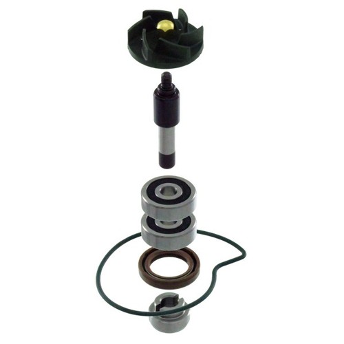 Kit revisione pompa - , rms