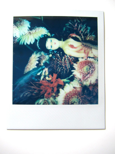 Araki polaroid originale - n.,