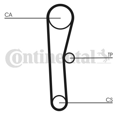 Cinghia distribuzione per - , zaz