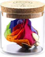 Bijou - Rosa Stabilizzata