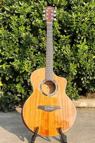 Aiersi master luthier - aiersi,