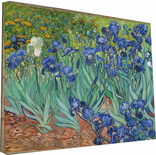 Stampa tela van gogh iris - su,