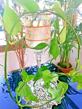 Box 3 Regali Natalizi!1 portacandele vintage, un ciondolo Murano, una tazza f.ta