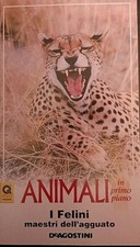 VHS Piero Angela Animali I Felini 1995