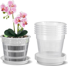 5 Pezzi Vaso Trasparente per