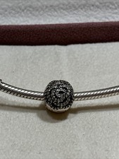 SHIMMERING ROSE CLIP 100%
