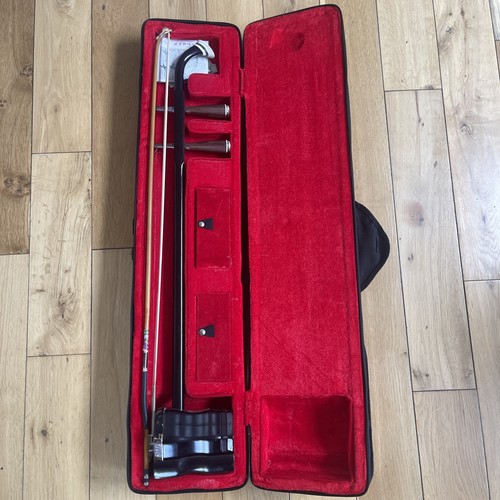 Strumento musicale violino