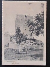 Splendida rara cartolina - splendida, e