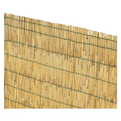 Canniccio arella 150 - cm, x