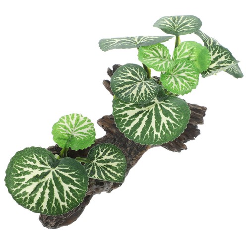 Accessori per terrario - accessori,