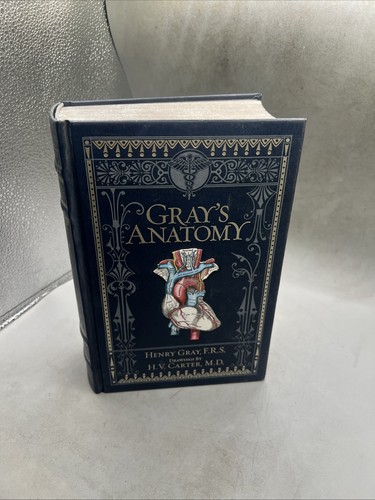 Gray anatomy special - gray’s,