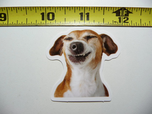 Got the joke jack russell - got,