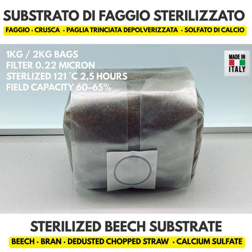 Substrato funghi faggio - funghi,