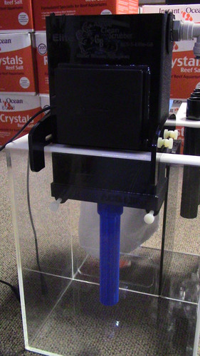 Algae clean scrubber hang - algae, on