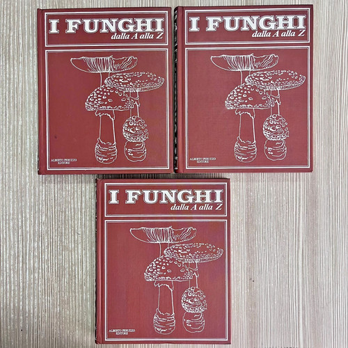 Funghi dalla alla - i,