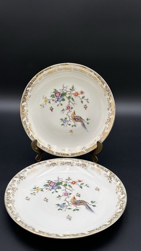 Coppia piatti limoges - piatti,