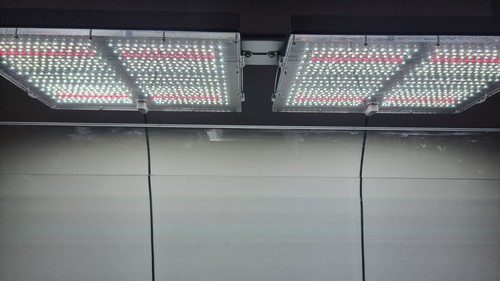 Lampade gnc per acquario - gnc,