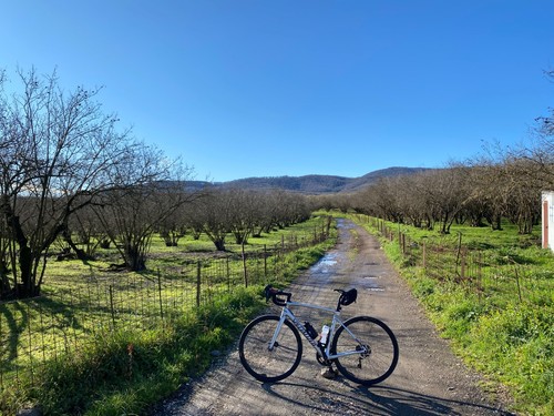 Bici strada specialized - bici,