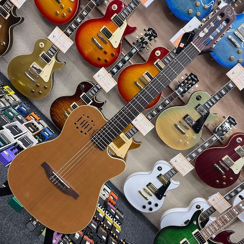 Chitarra elettrica acustica