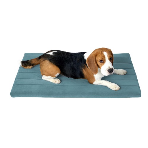 Cuccia per cani - per, cani,