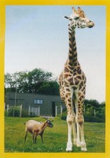 Panini National Geographic -