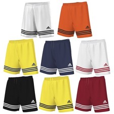Shorts adidas entrada - adidas,