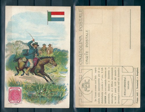Cartolina postale achille - cartolina,