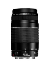 Canon EF 75-300mm F4.0-5.6 III