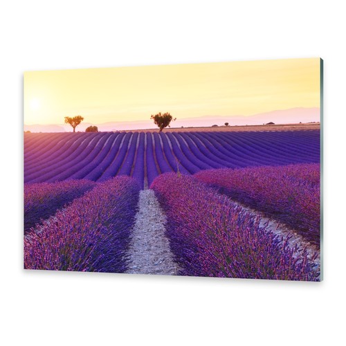 Quadri vetro quadro da - quadro,